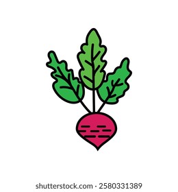 Organic Fresh vegetable colorful beet line art 