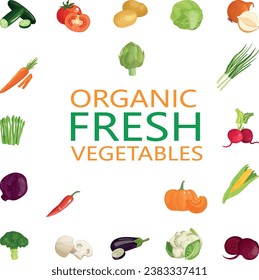 Organic fresh vegetables. Collection of flat vegetables. Healthy food design isolated on white background. Vegan menu. Vector illustration.
