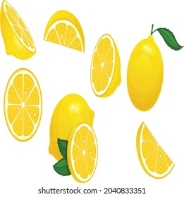 organic fresh yellow lemon vector