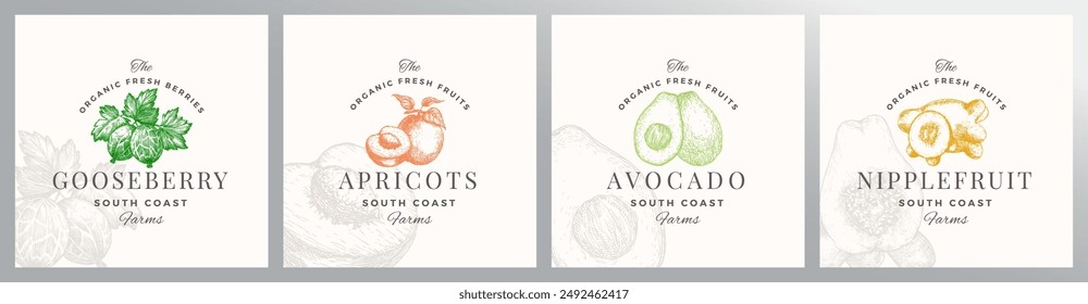 Organic Fruit Berries Logo Templates Set. Hand Drawn Gooseberry, Apricot, Avocado and Nipplefruit Sketches with Retro Typography. Premium Plant Based Vegan Food Badge Emblems Collection. Isolated