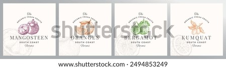 Organic Fruit Berries Logo Templates Set. Hand Drawn Mangostine, Orange, Bergamot and Kumquat Sketches with Retro Typography. Premium Plant Based Vegan Food Badge Emblems Collection. Isolated