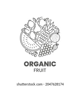 Organic Fruit logo template. Outline emblem in one color. Stock vector illustration.