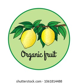Organic fruit logo with text, hand drawn lemons on branch in a circle, tropical fruit sketch vector illustration, for packaging, avatar, social media, business card, product label, fruit sticker.