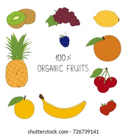 Organic fruit vector illustration set. Banana, lemon, apple, pineapple and other exotic fruits isolated on white background.