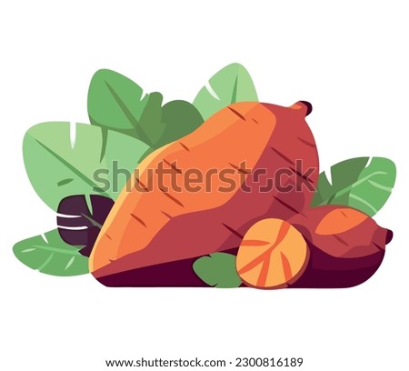 organic fruit and vegetable meal over white