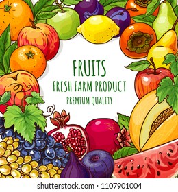 Organic fruits vector illustration template. Healthy summer food for graphic design, web banner and printed materials.