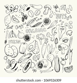 Organic Fruits and Vegetables Hand Drawn Doodles. Corn,Potato,Mushroom,Olives,Tomato,Garlic,Ginger,Eggplant,Peas,Broccoli,Fig,Pear,Berries,Apricot,Papaya,Garlic,Beet,Carrot,Citrus,Lemon,Hot Pepper