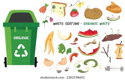 Organic garbage with leftover food, fruit peel, apple core, egg shell, bone, moldy bread, sprouting potato. Green lifestyle. Decomposable waste. Cartoon vector isolated on white background. 