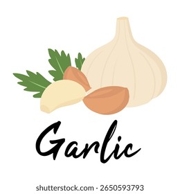 Bolbo de alho orgânico e cravo isolado no fundo branco - fresco vegetal natural