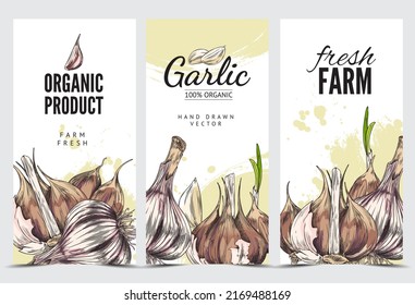 Organic garlic fresh farm product advertising banners set, hand drawn sketch style vector illustration. Badges or labels for garlic packaging and promo banners.