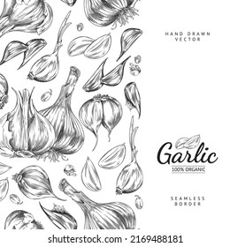 Organic garlic poster template with seamless border, sketch vector illustration on white background. Hand drawn garlic cloves with engraving texture.