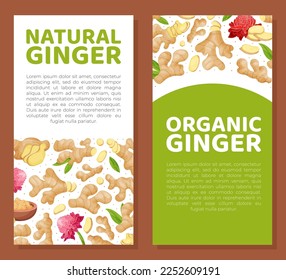Organic Ginger Design with Root and Blooming Flower Vector Template