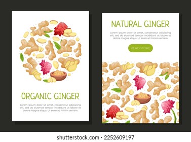 Organic Ginger Design with Root and Blooming Flower Vector Template