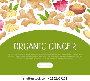 Organic Ginger Design with Root and Blooming Flower Vector Template