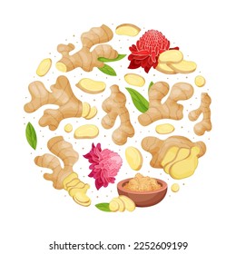 Organic Ginger Round Composition Design with Root and Blooming Flower Vector Template