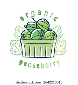 Organic gooseberries in eco-friendly packaging. Green gooseberries with leaves in doodle style