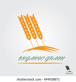 organic grain icon - vector illustrator