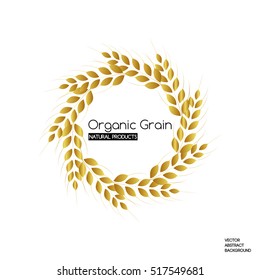 Organic grain. Natural products. Wheat spikelets.