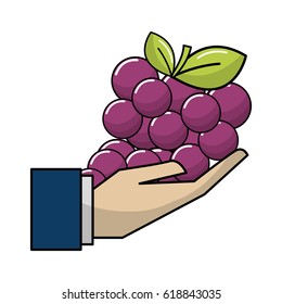 organic grape fruit in the hand icon