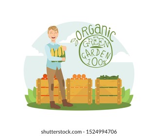 Organic Green Garden, Smiling Man with Fresh Bio Vegetables and Fruits in Wooden Crates Vector Illustration