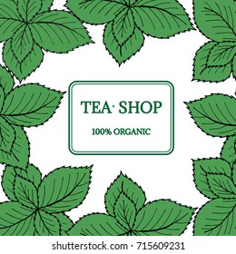 Organic green herbal mint tea shop leaf, hand drawn template packaging cosmetic, label, banner, poster, branding, scrapbooking, decoupage. Stylish design square banner with sketch illustration.