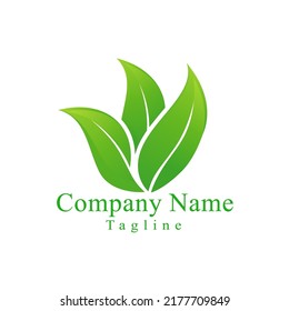 Diseño de vectores con logotipo de hoja verde para medicamentos o logotipo de la empresa. Con estilo de degradado