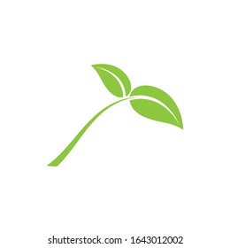 logo natural de la hoja verde orgánica Icono vector 