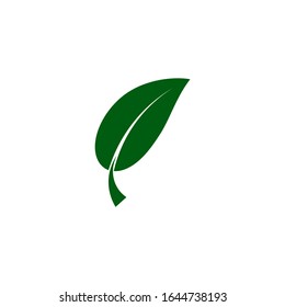 organic green leaf natural logo Icon vector