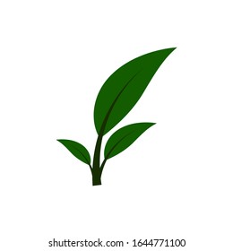 organic green leaf natural logo vector logo