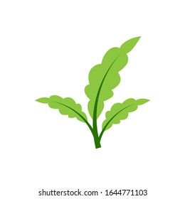 organic green leaf natural logo vector logo