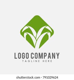 Vector verde orgánico del logotipo, concepto del logotipo del maíz