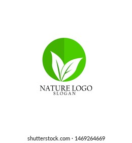 organic and green nature logo template