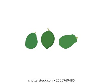 Organic Green Papaya Vector Illustration: Raw, Healthy Vegetable for Nutritional Recipes, Ideal for Diet-Conscious Individuals, Vegans, Organic Food Enthusiasts Seeking Natural, Wholesome Ingredients.