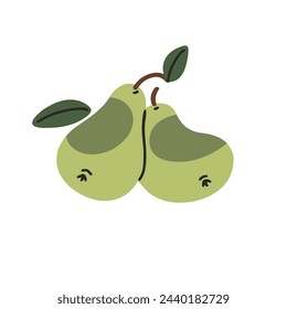 Organic green pears with leaves. Fresh fruit, healthy snacks, delicious food from garden, juicy dessert. Natural source of vitamins. Fall harvest. Flat isolated vector illustration on white background