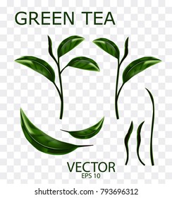 Organic green tea ,leaf tea with isolated background
