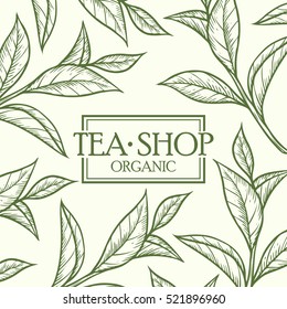 Organic green white black tea shop cup leaf, bean vector hand drawn template packaging cosmetic, label, banner, poster, identity, branding. Stylish design with sketch illustration of tea sketch.