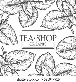 Organic Green White Black Tea Shop Cup Leaf, Bean Vector Hand Drawn Template Packaging Cosmetic, Label, Banner, Poster, Identity, Branding. Stylish Design With Sketch Illustration Of Tea Sketch.