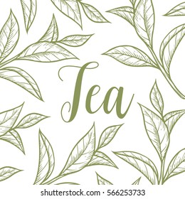 Organic Green White Black Tea Cup Leaf, Bean Vector Hand Drawn Template Packaging Cosmetic, Label, Banner, Poster, Identity, Branding. Stylish Design With Sketch Illustration Of Tea Sketch