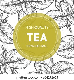 Organic green white black tea cup leaf, bean vector hand drawn template packaging cosmetic, label, banner, poster, identity, branding. Stylish design with sketch illustration of tea sketch.