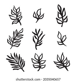 Organic hand drawn botanical elements. Plants leaves and branches doodles. Decorative ornaments. Floral design.