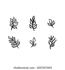 Organic hand drawn botanical elements. Plants leaves and branches doodles. Decorative ornaments. Floral design.