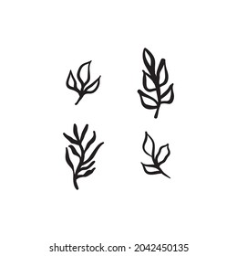 Organic hand drawn botanical elements. Plants leaves and branches doodles. Decorative ornaments. Floral design.