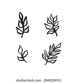 Elementos botánicos dibujados a mano orgánica. Hojas vegetales y ramas garabatos. Ornamentos decorativos. Diseño floral.