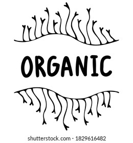 Organic - hand drawn sign. Algae at the top and bottom. Suitable for packaging, web designs, advertising products, label, Internet advertising. Lettering. Stock vector illustration. Isolated image