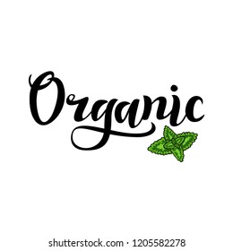 Organic Hand lettering. Handmade vector calligraphy. Hand drawn word organic with green leaf for organic products, healthy food markets.