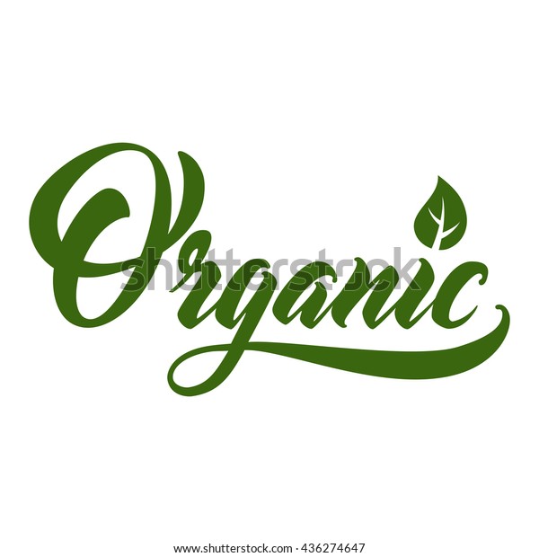 Organic Hand Lettering Handmade Vector Calligraphy Stock Vector ...