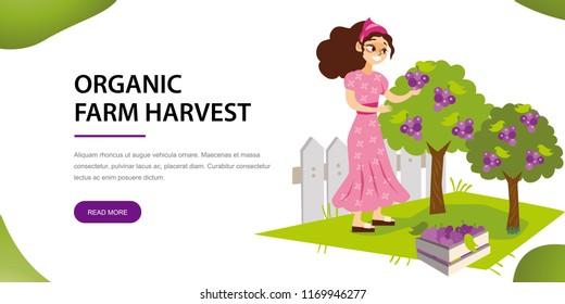 Its organic harvest time flat horizontal banner