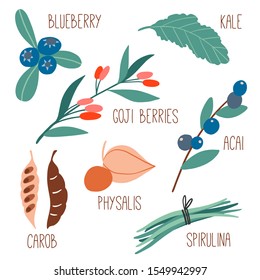 Organic healthy food collection. Superfood plants set: acai berries, kale, carob, goji, blueberry, physalis flowers, spirulina. Hand drawn flat style vector. Detox natural vegetarian products. 