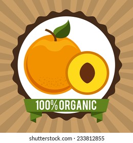 organic healthy food design , vector illustration