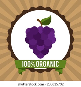 organic healthy food design , vector illustration